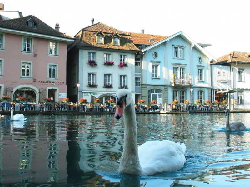 Hotel Krone Thun Exterior photo